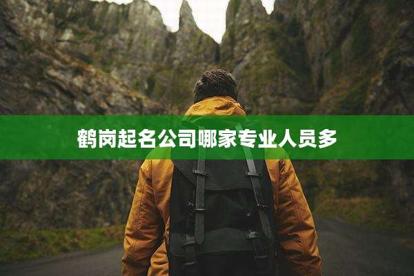 鹤岗起名公司哪家专业人员多