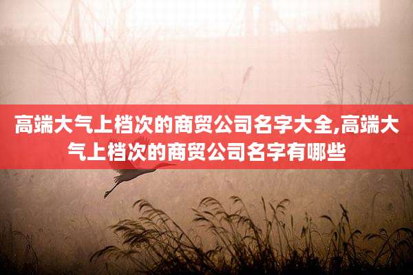 高端大气上档次的商贸公司名字大全,高端大气上档次的商贸公司名字有哪些