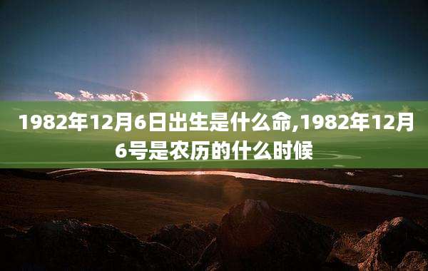 1982年12月6日出生是什么命,1982年12月6号是农历的什么时候
