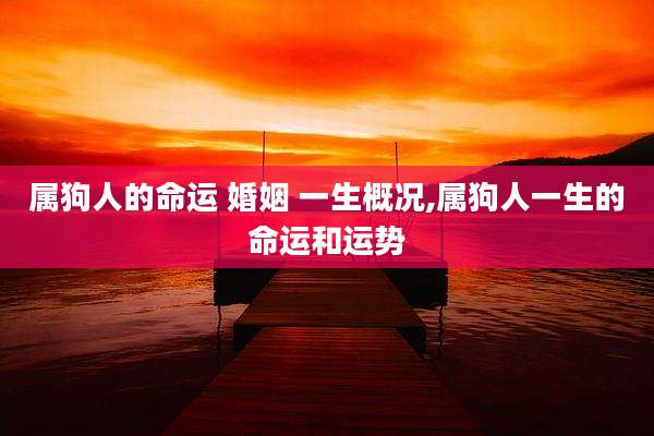 属狗人的命运 婚姻 一生概况,属狗人一生的命运和运势