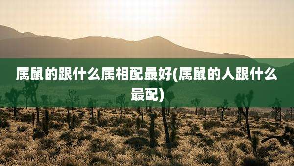 属鼠的跟什么属相配最好(属鼠的人跟什么最配)