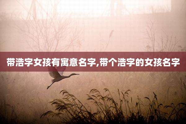 带浩字女孩有寓意名字,带个浩字的女孩名字