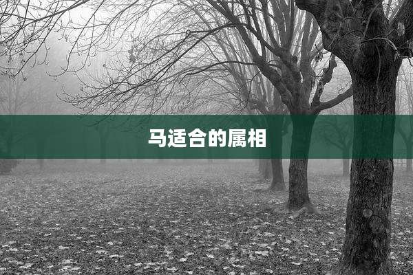 马适合的属相