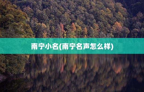 南宁小名(南宁名声怎么样)