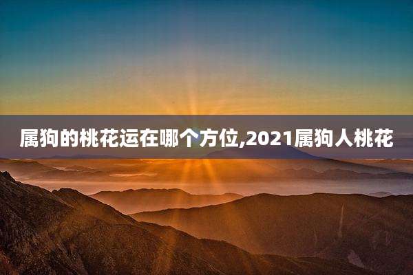 属狗的桃花运在哪个方位,2021属狗人桃花