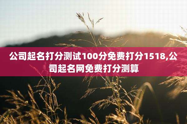 公司起名打分测试100分免费打分1518,公司起名网免费打分测算
