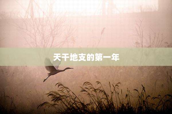 天干地支的第一年