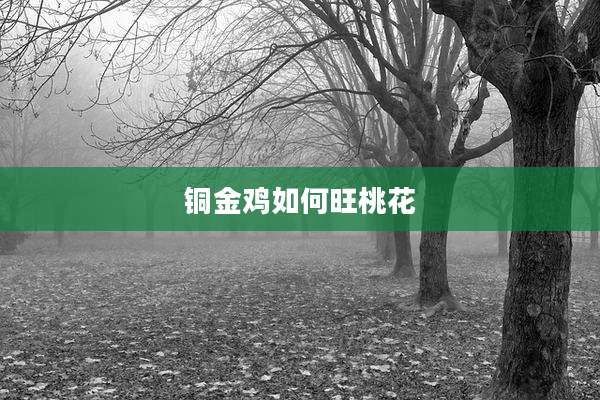 铜金鸡如何旺桃花