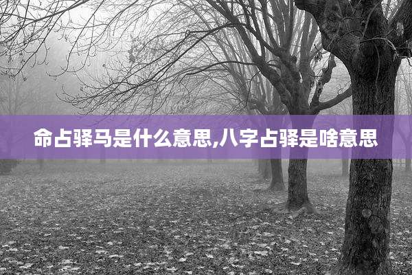 命占驿马是什么意思,八字占驿是啥意思