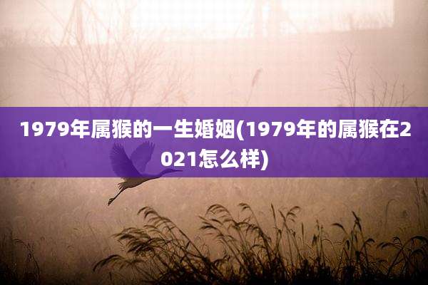 1979年属猴的一生婚姻(1979年的属猴在2021怎么样)
