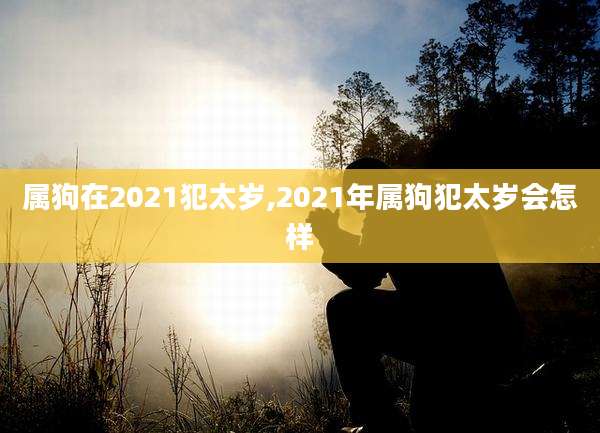 属狗在2021犯太岁,2021年属狗犯太岁会怎样