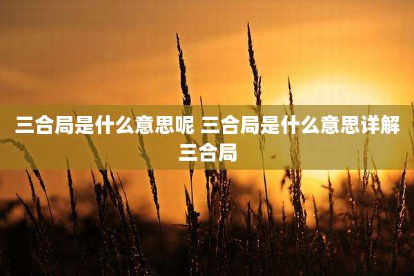 三合局是什么意思呢 三合局是什么意思详解三合局