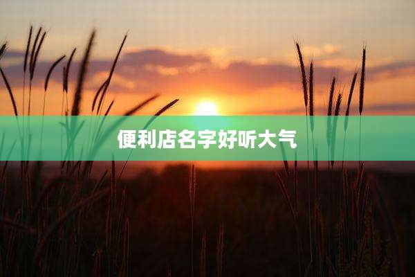 便利店名字好听大气