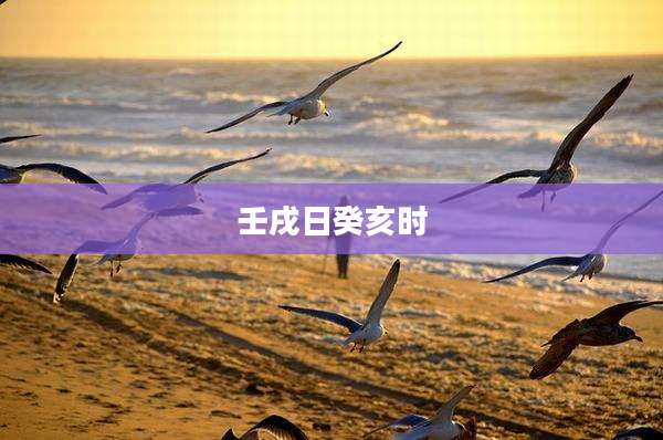 壬戌日癸亥时