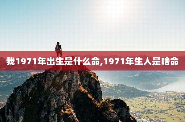 我1971年出生是什么命,1971年生人是啥命