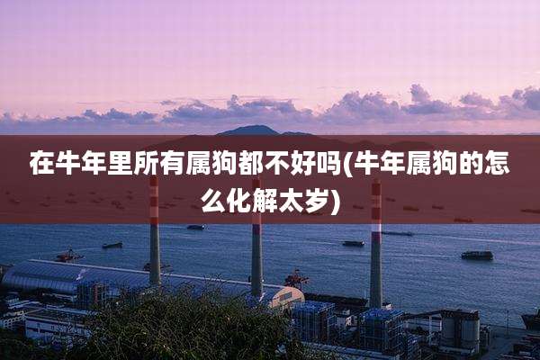 在牛年里所有属狗都不好吗(牛年属狗的怎么化解太岁)