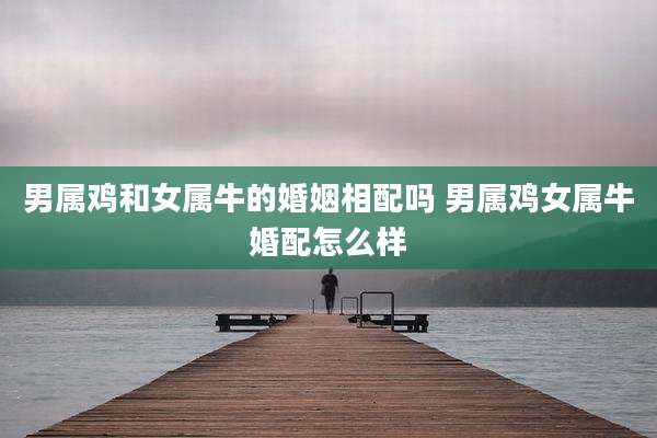 男属鸡和女属牛的婚姻相配吗 男属鸡女属牛婚配怎么样