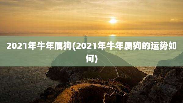 2021年牛年属狗(2021年牛年属狗的运势如何)