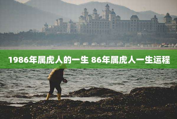 1986年属虎人的一生 86年属虎人一生运程