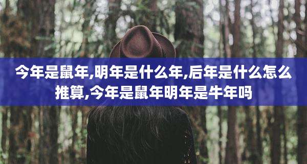 今年是鼠年,明年是什么年,后年是什么怎么推算,今年是鼠年明年是牛年吗