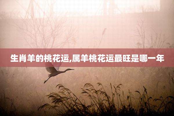 生肖羊的桃花运,属羊桃花运最旺是哪一年