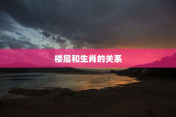 楼层和生肖的关系