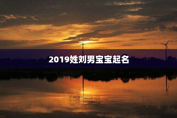 2019姓刘男宝宝起名