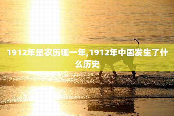 1912年是农历哪一年,1912年中国发生了什么历史
