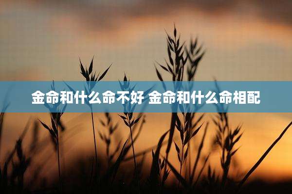 金命和什么命不好 金命和什么命相配