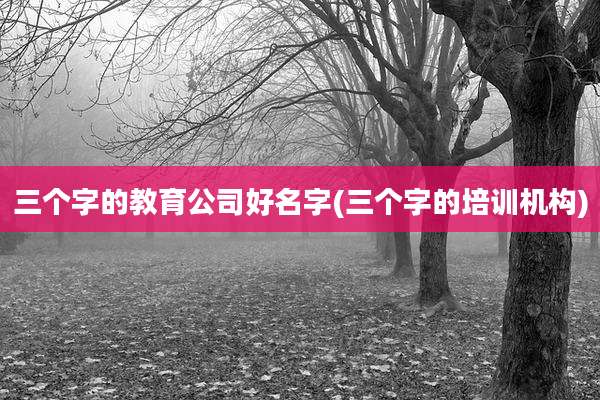 三个字的教育公司好名字(三个字的培训机构)