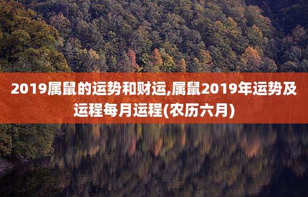2019属鼠的运势和财运,属鼠2019年运势及运程每月运程(农历六月)