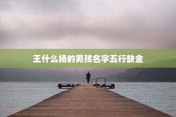王什么扬的男孩名字五行缺金