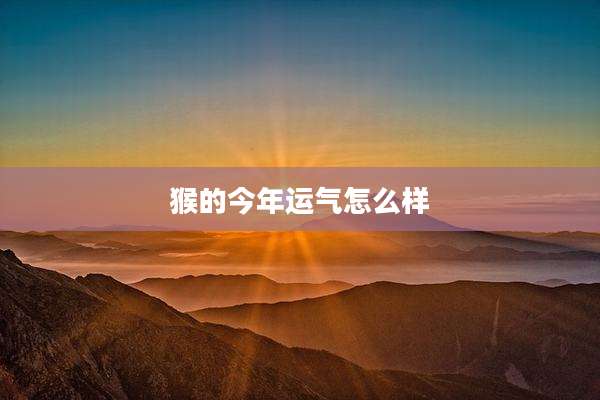 猴的今年运气怎么样