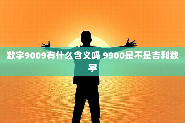 数字9009有什么含义吗 9900是不是吉利数字
