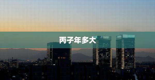丙子年多大