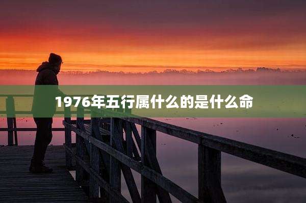 1976年五行属什么的是什么命