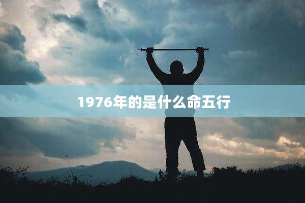 1976年的是什么命五行