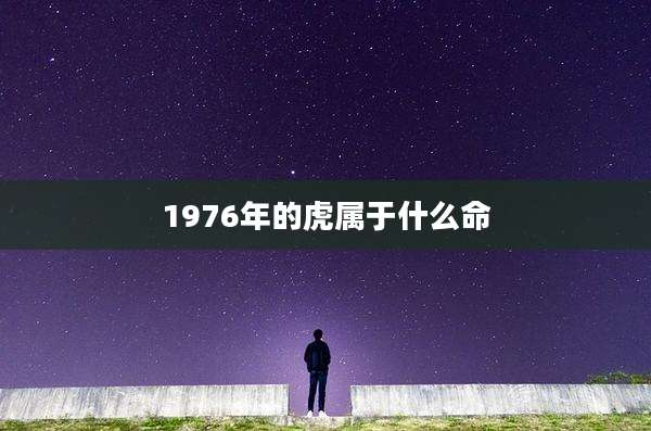 1976年的虎属于什么命