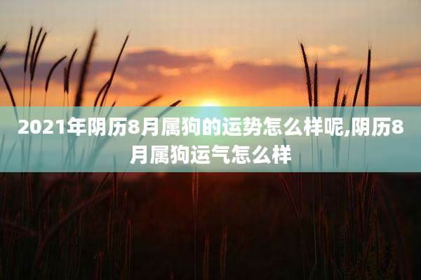2021年阴历8月属狗的运势怎么样呢,阴历8月属狗运气怎么样