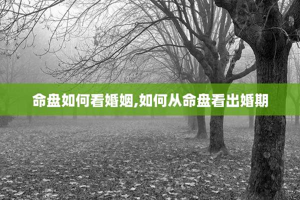 命盘如何看婚姻,如何从命盘看出婚期