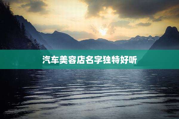 汽车美容店名字独特好听