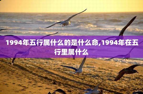 1994年五行属什么的是什么命,1994年在五行里属什么