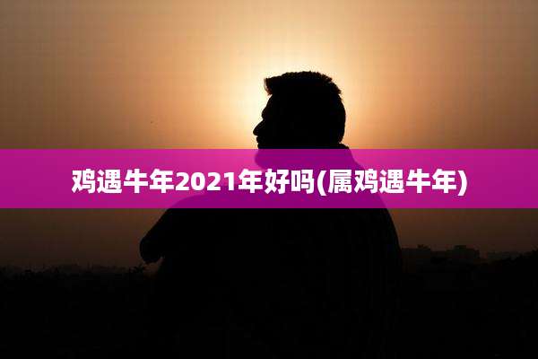 鸡遇牛年2021年好吗(属鸡遇牛年)