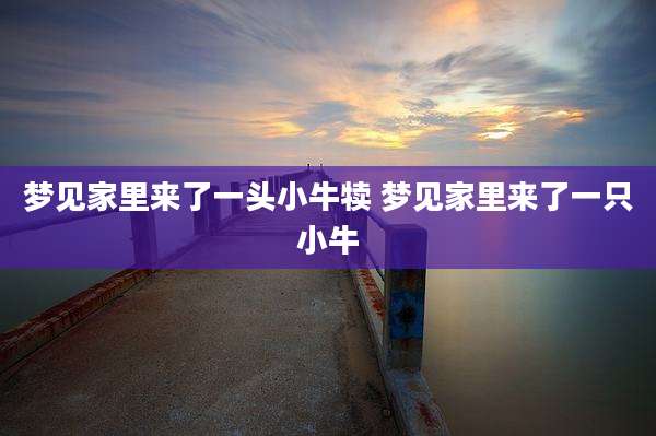 梦见家里来了一头小牛犊 梦见家里来了一只小牛
