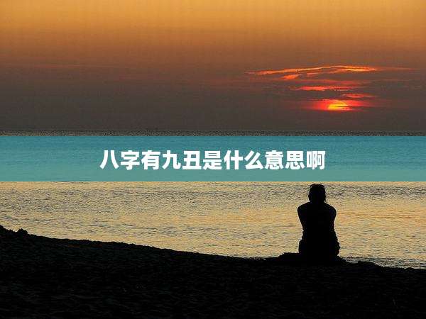 八字有九丑是什么意思啊