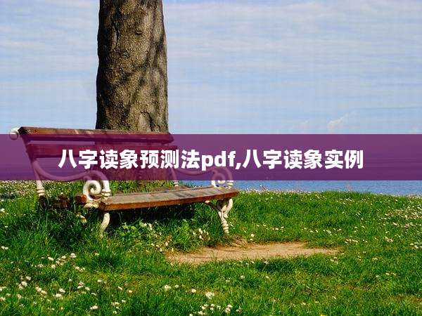 八字读象预测法pdf,八字读象实例