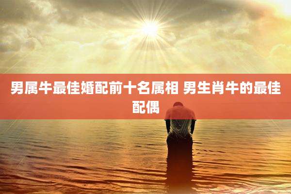 男属牛最佳婚配前十名属相 男生肖牛的最佳配偶