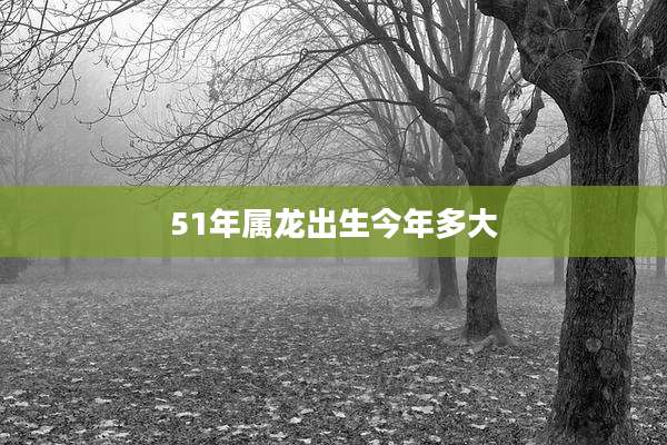 51年属龙出生今年多大