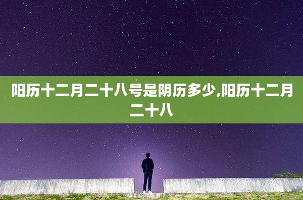 阳历十二月二十八号是阴历多少,阳历十二月二十八