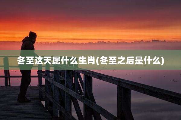 冬至这天属什么生肖(冬至之后是什么)